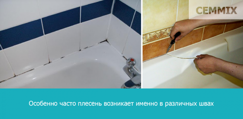 Оценка статьи: